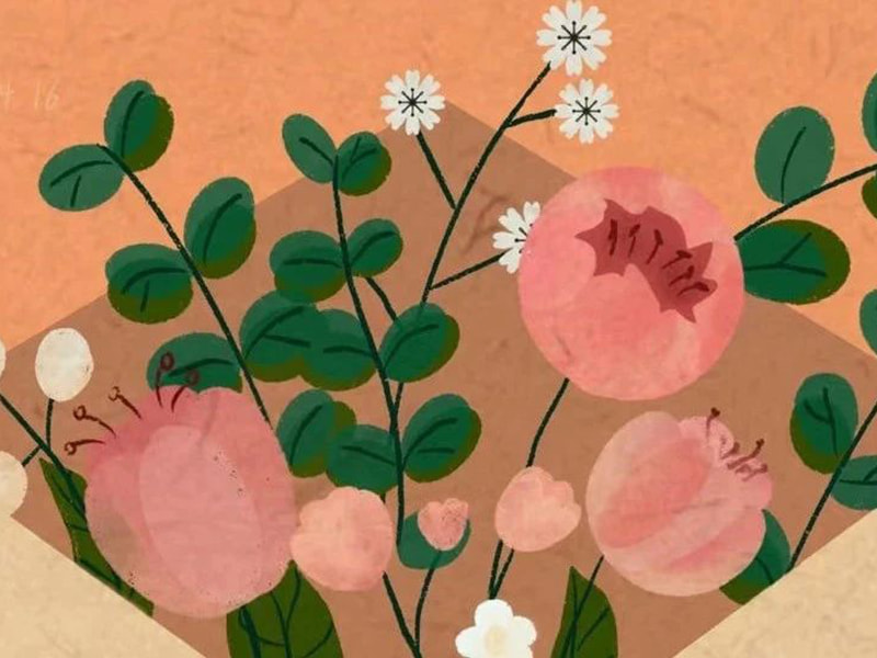 Surat untuk keluarga Jufeng